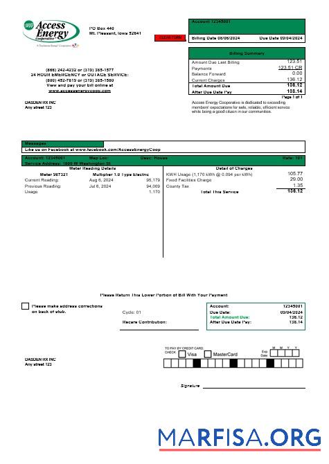 Printable USA Iowa Access Energy Cooperative business utility bill template in Word and PDF formats